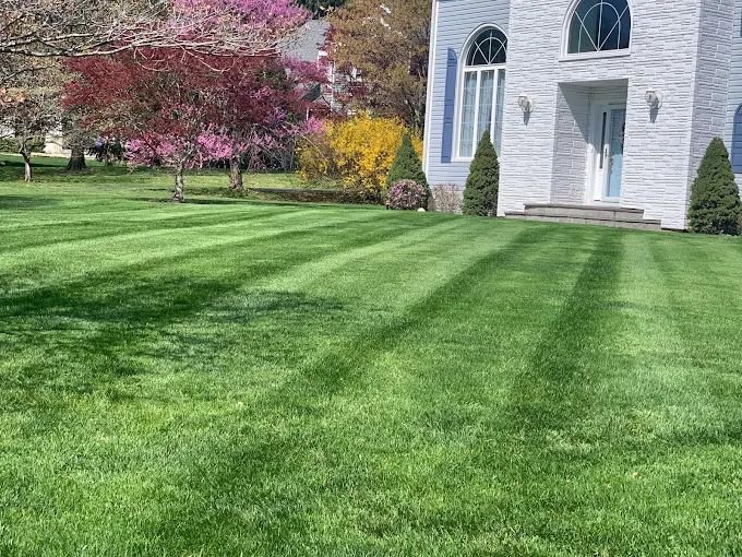 Freshly striped lawn and spring trees at a Westchester County home